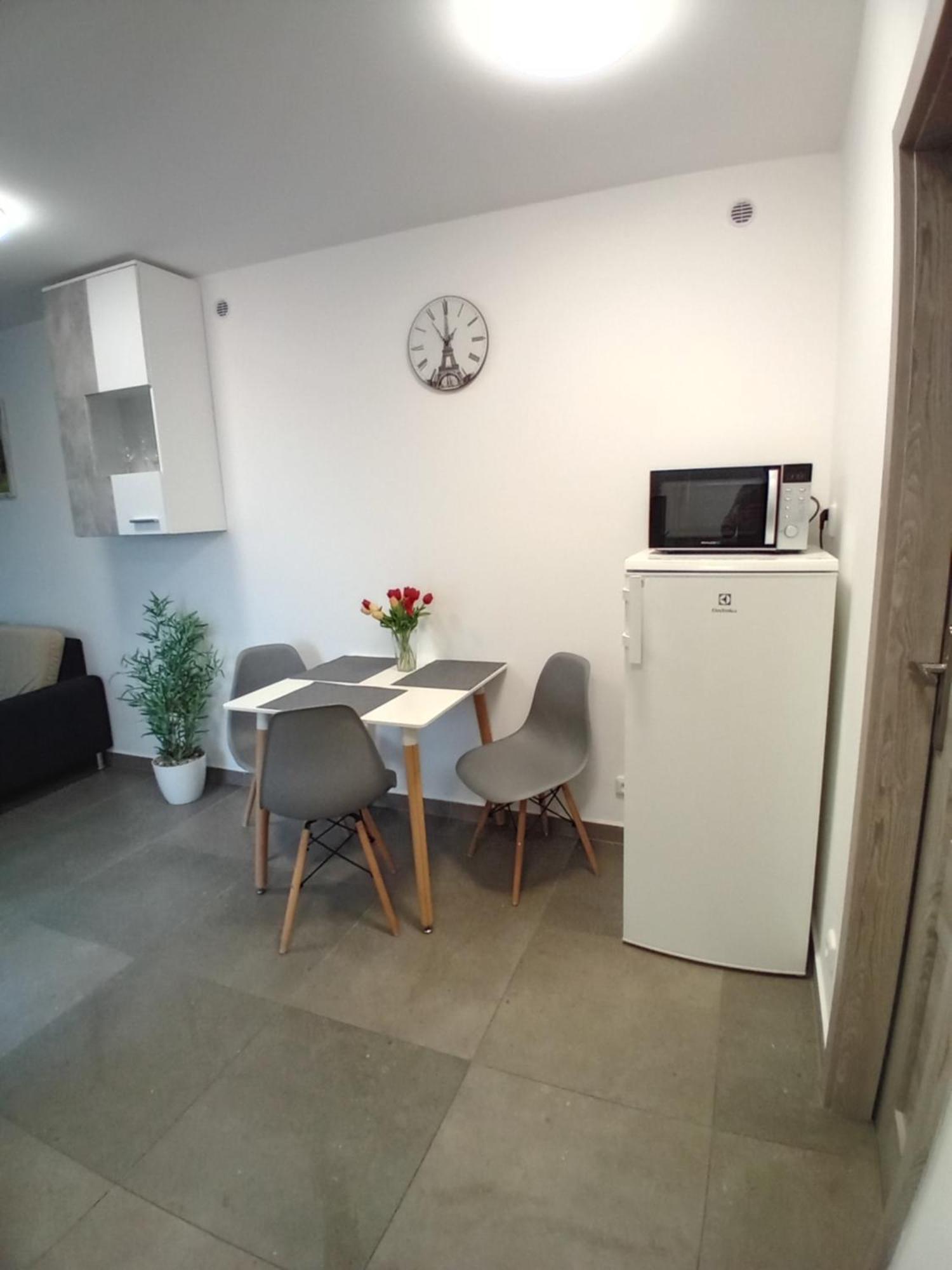 Novy 30 Apartment Liberec
